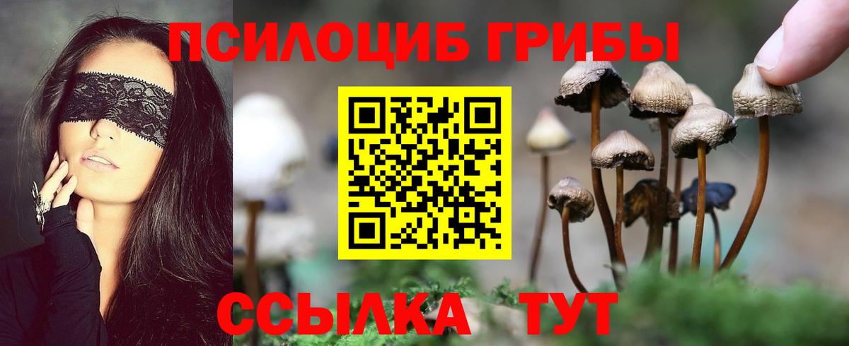 Галлюциногенные грибы ЛСД Ртищево