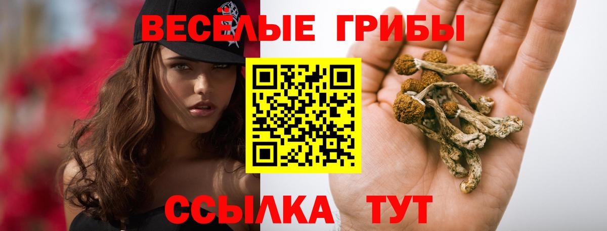 купить закладку  Галлюциногенные грибы мухоморы  Вход с VPN  Ртищево 